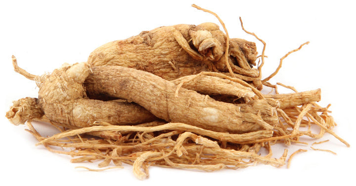 Panax ginseng root associated with Korean and Chinese herbal traditions