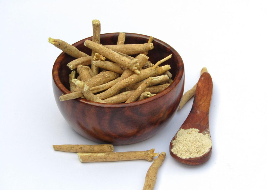 Ashwagandha root used in traditional Ayurvedic botanical practices